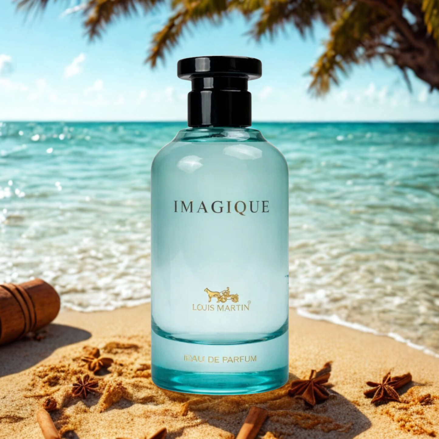 IMAGIQUE - LOUI MARTIN