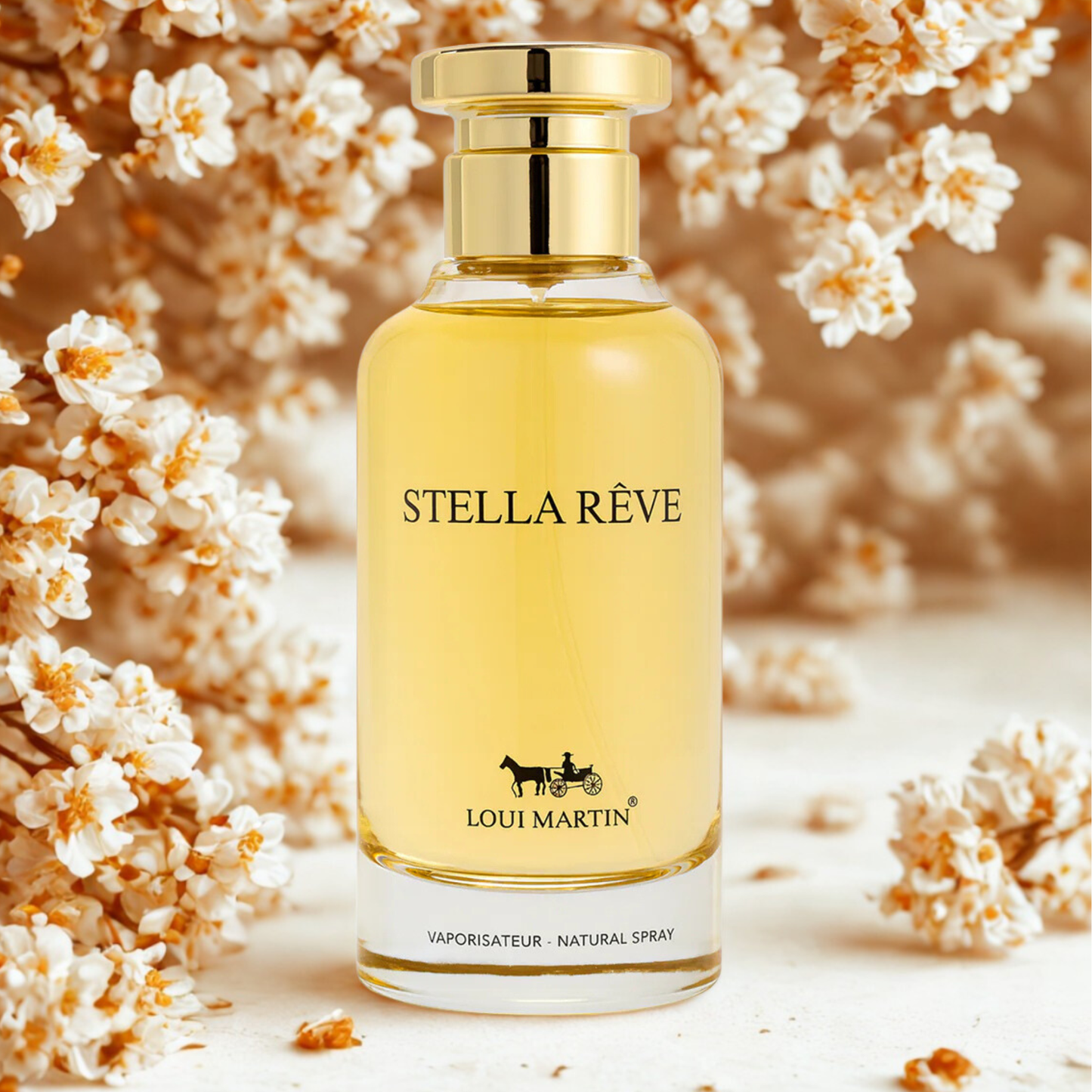 STELLA RÊVE - LOUI MARTIN