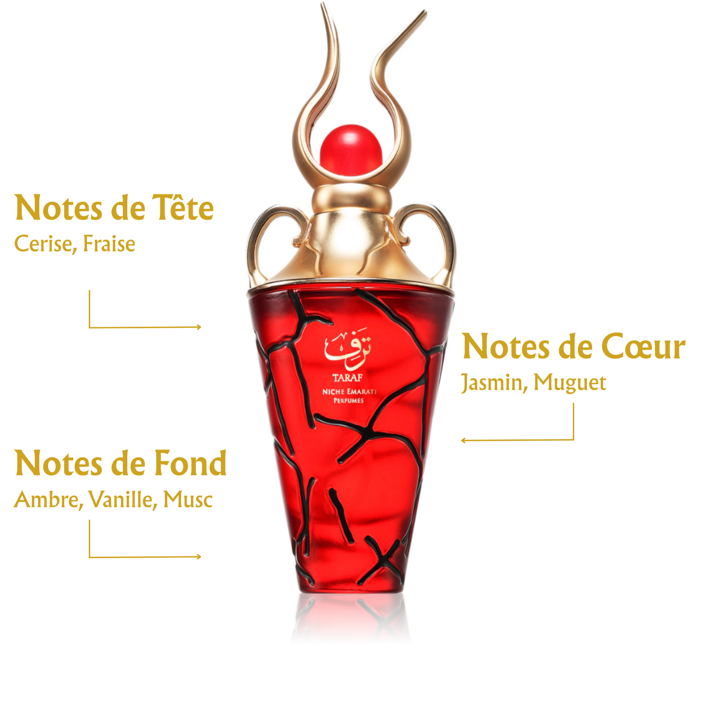 TARAF – NICHE EMARATI PERFUMES - LATTAFA