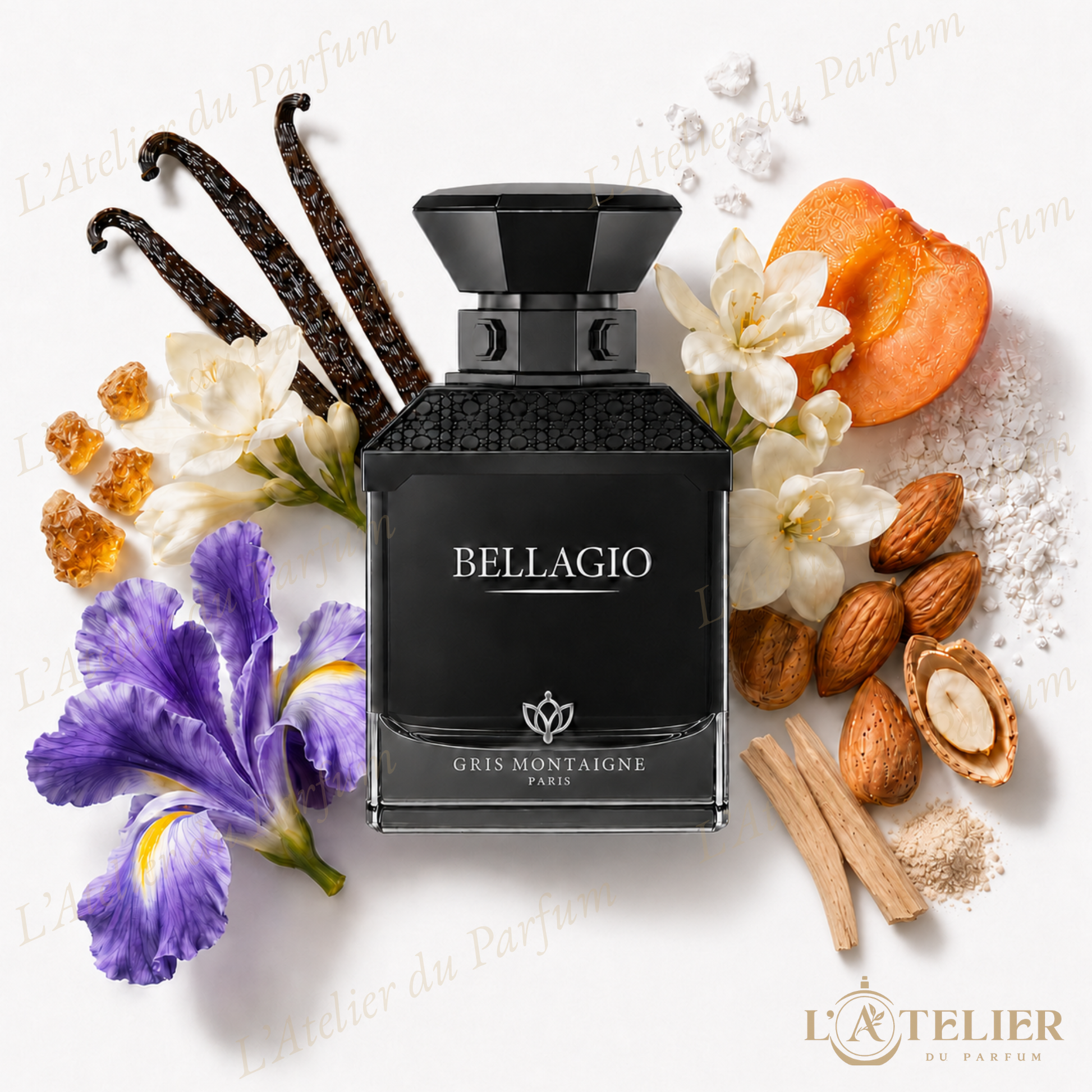 Bellagio Gris Montaigne – Extrait de Parfum Unisexe 100ml – flacon vue de face