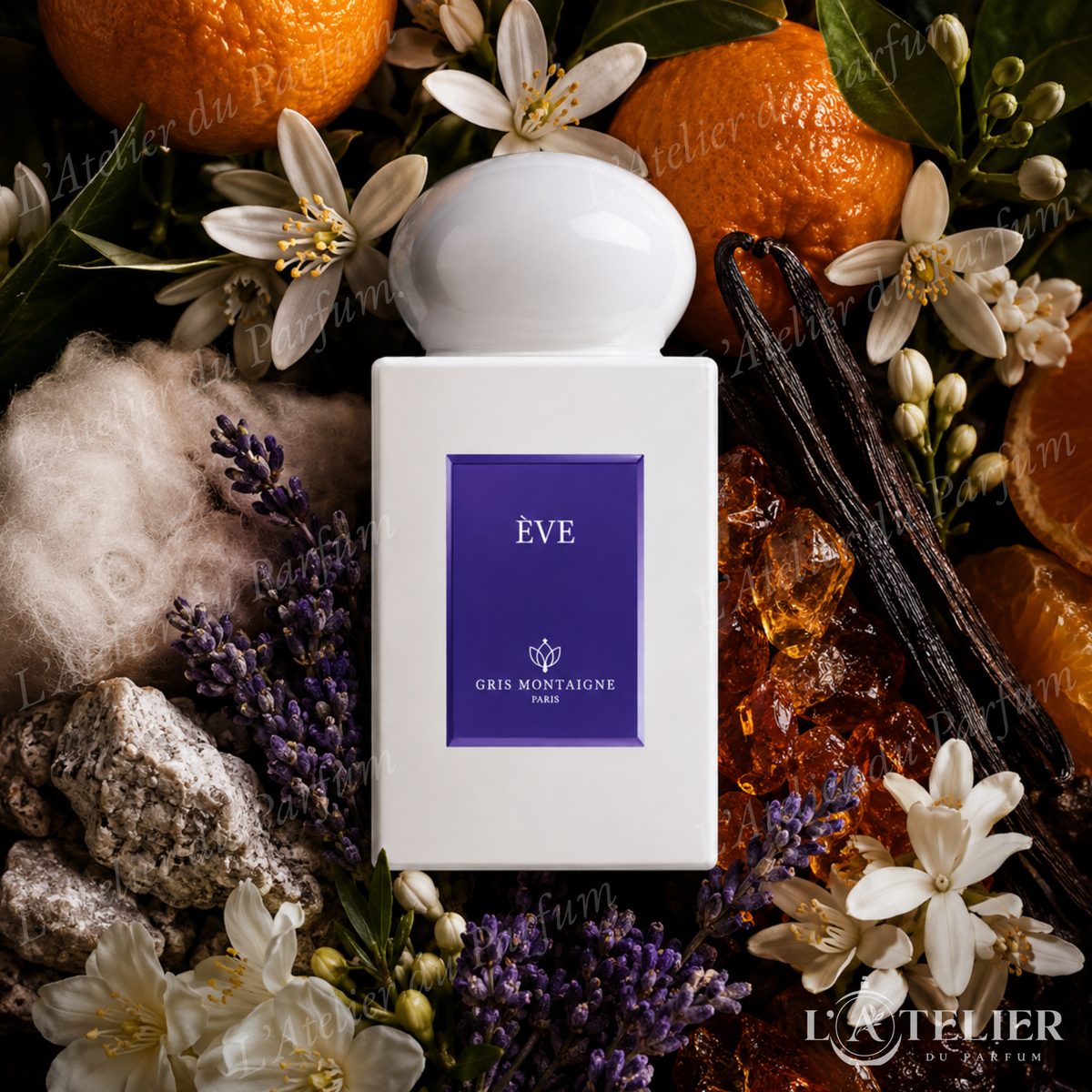 Ève Gris Montaigne – extrait floral mandarine néroli vanille ambre jasmin sambac – 75ml