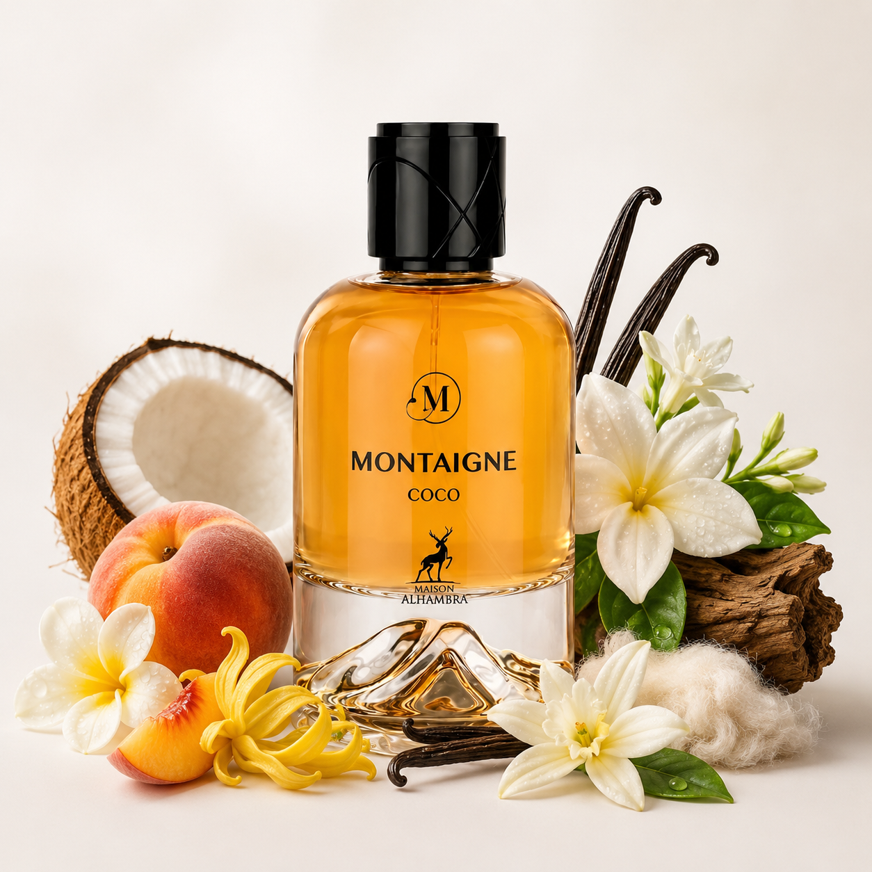 MONTAIGNE COCO - MAISON ALHAMBRA