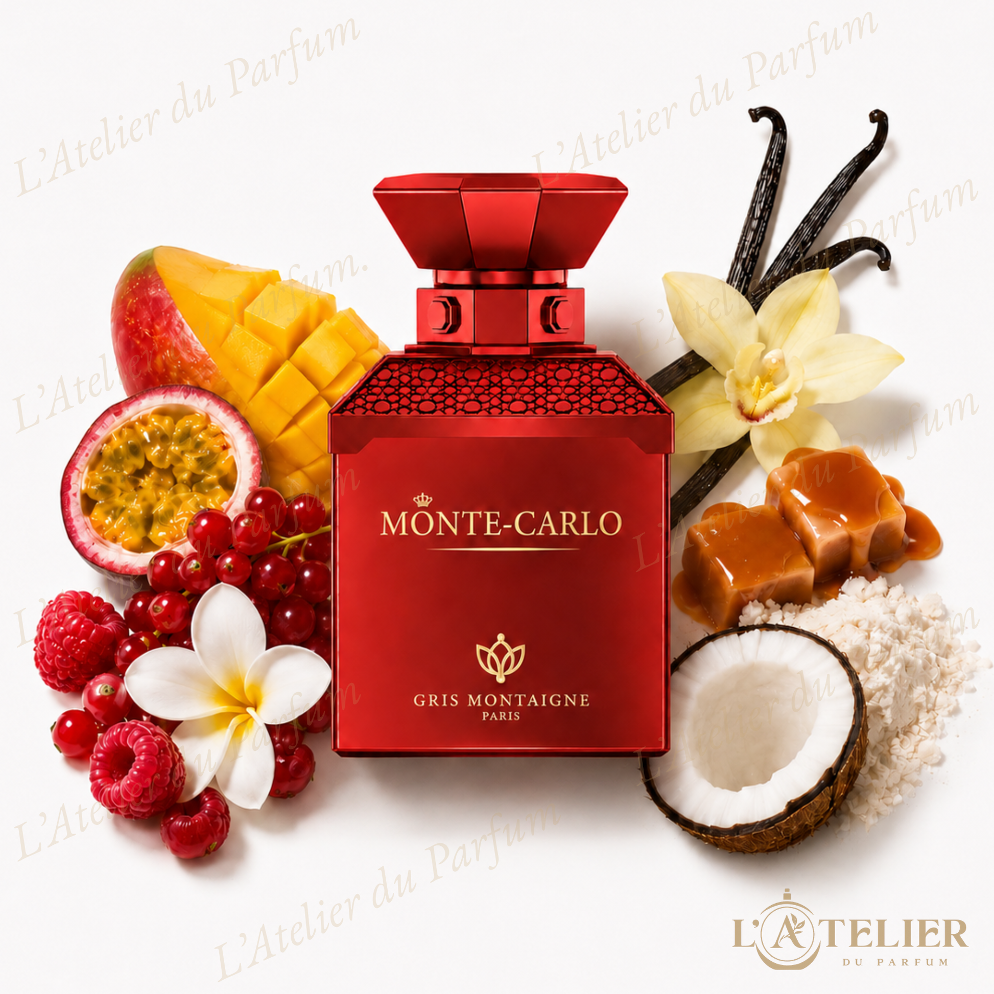 Monte-Carlo Gris Montaigne – Extrait de Parfum Unisexe 100ml – flacon vue de face
