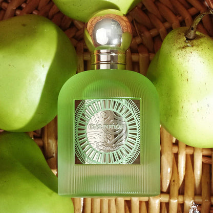PEAR POTION - PARIS CORNER