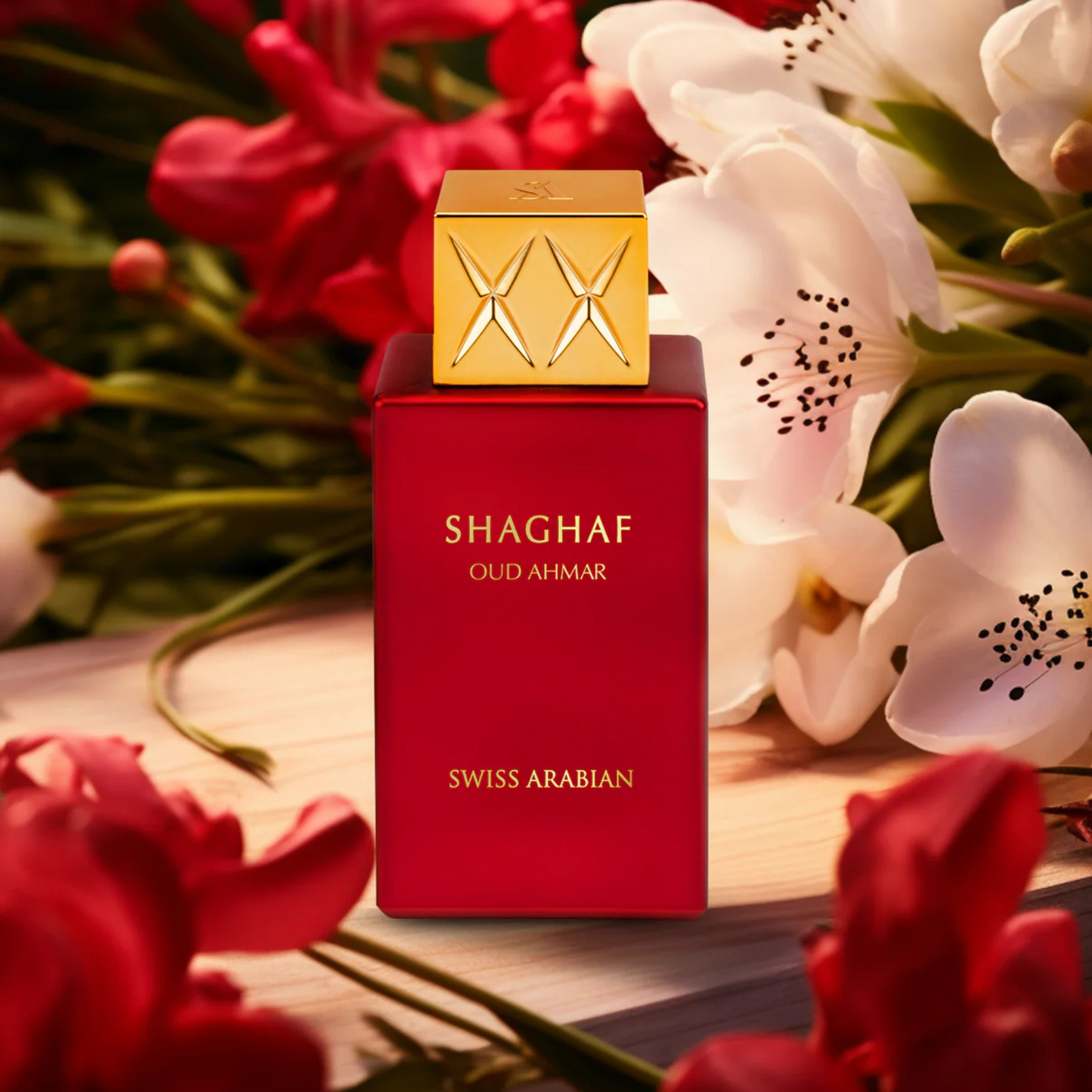 SHAGHAF OUD AHMAR - SWISS ARABIAN