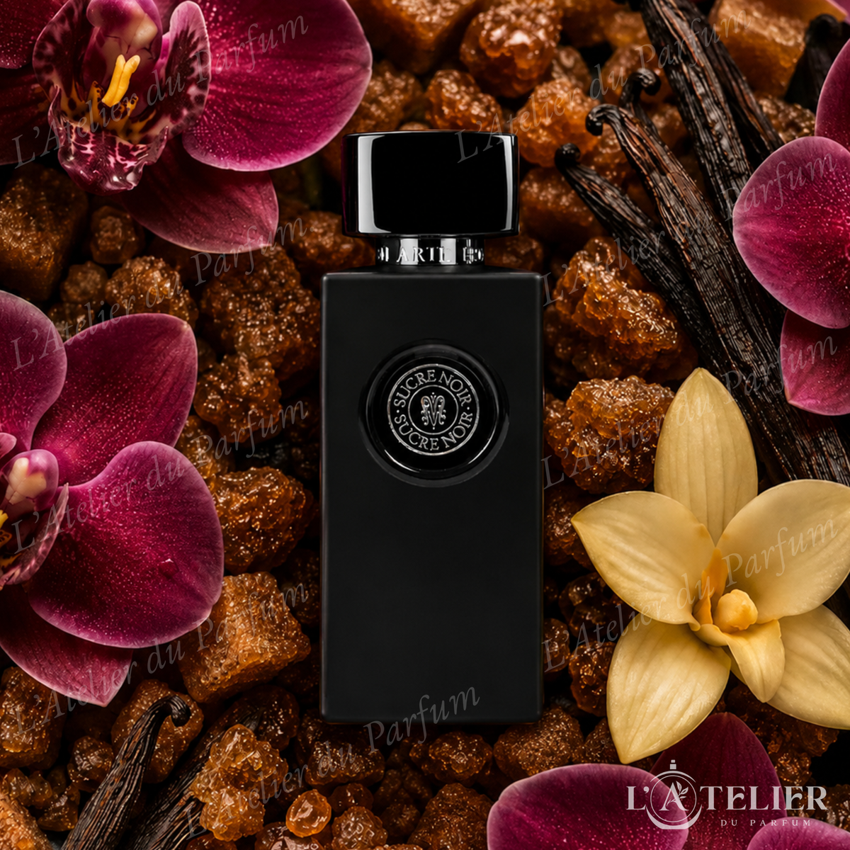 Sucre Noir Arte Profumi – EDP gourmand orchidée sucre roux vanille – 100ml