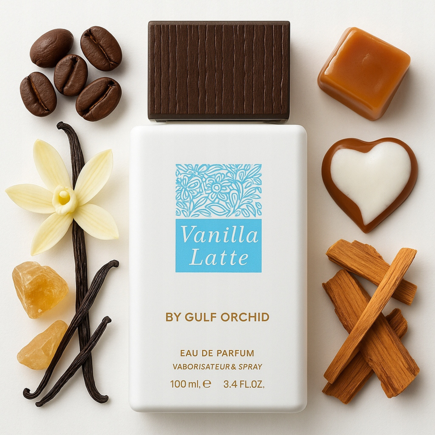 VANILLA LATTE - GULF ORCHID