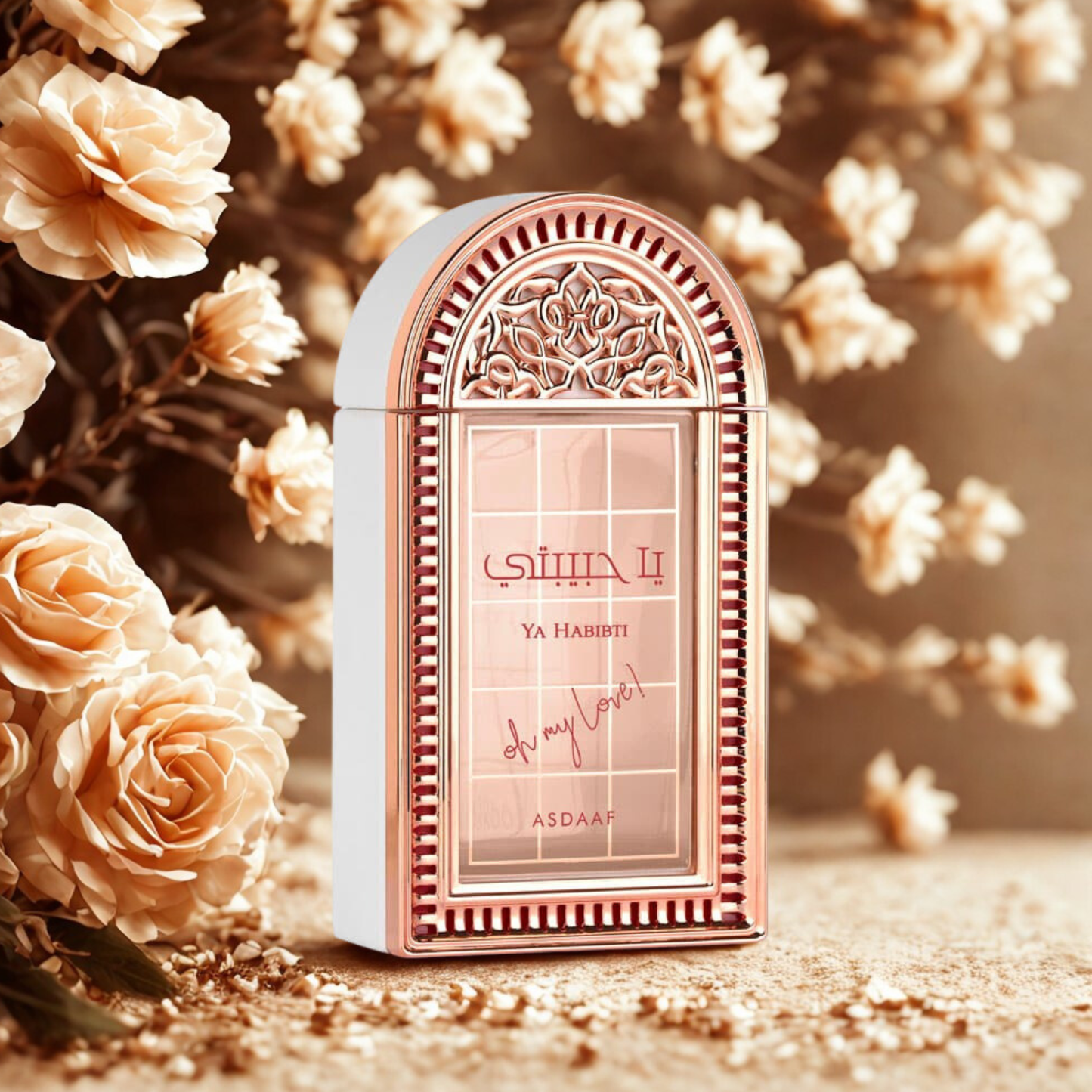 YA HABIBTI - ASDAAF