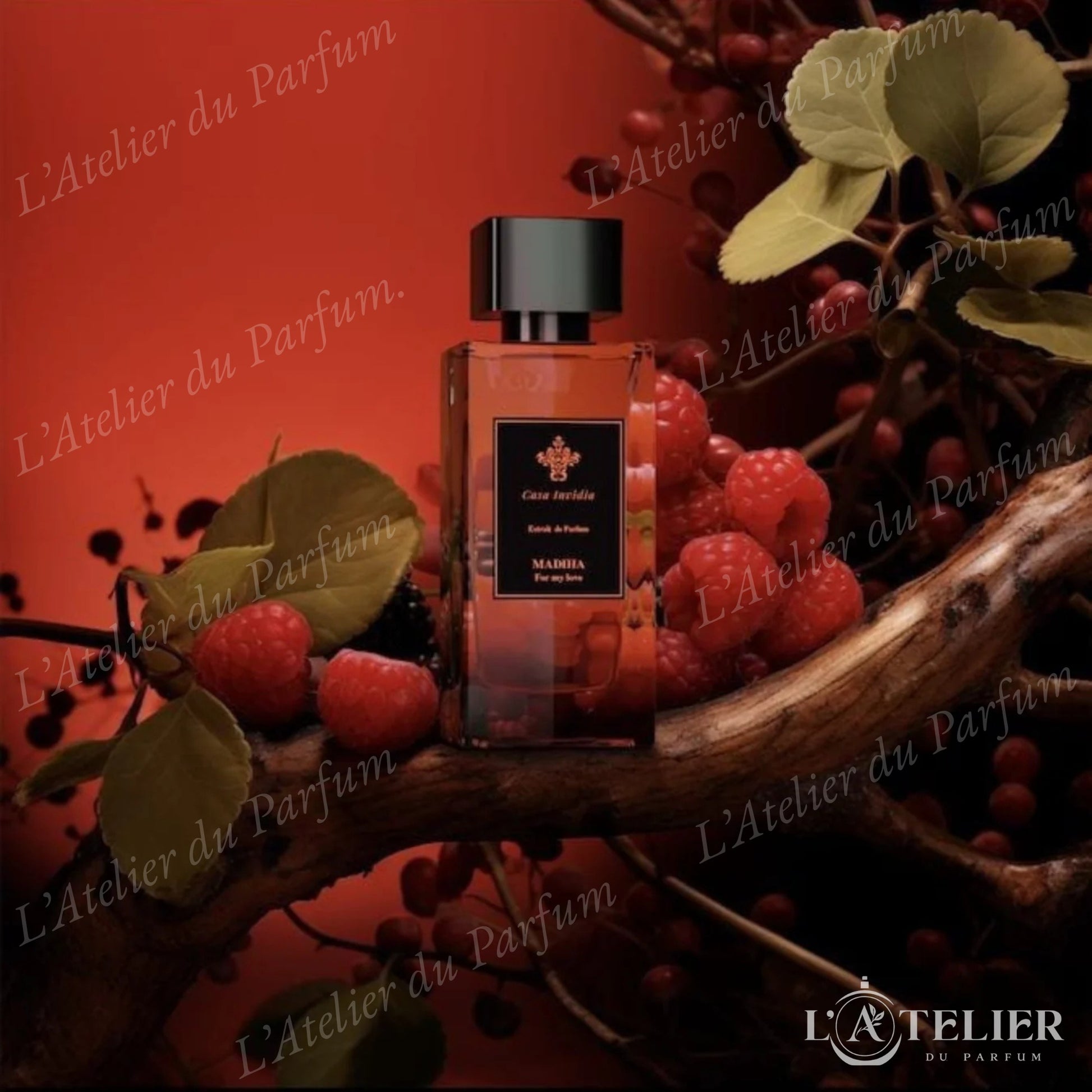 Madiha Casa Invidia – extrait de parfum unisexe tropical et fruité – vue de côté 100ml