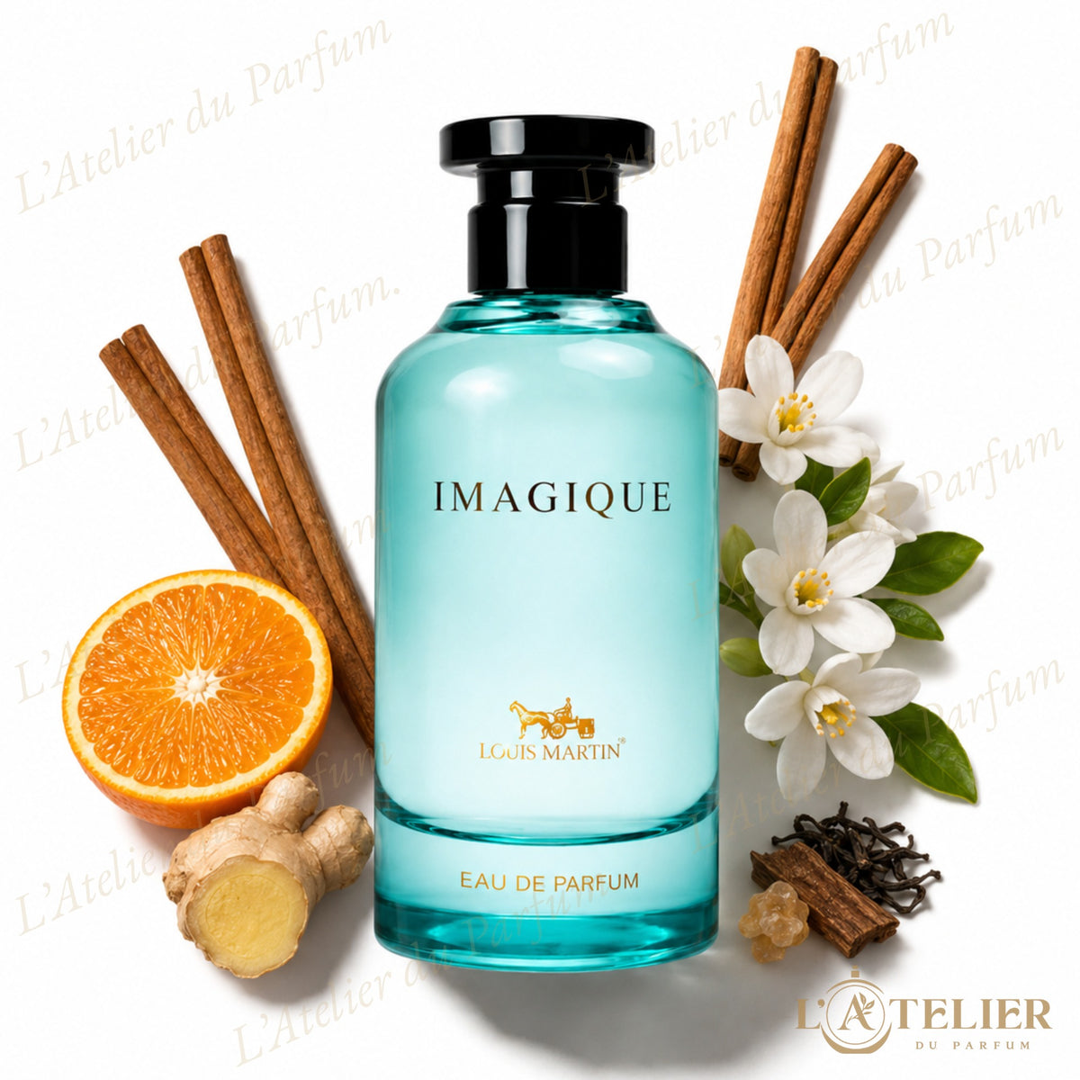 Imagique Loui Martin – Extrait de Parfum Homme 100ml – flacon vue de face