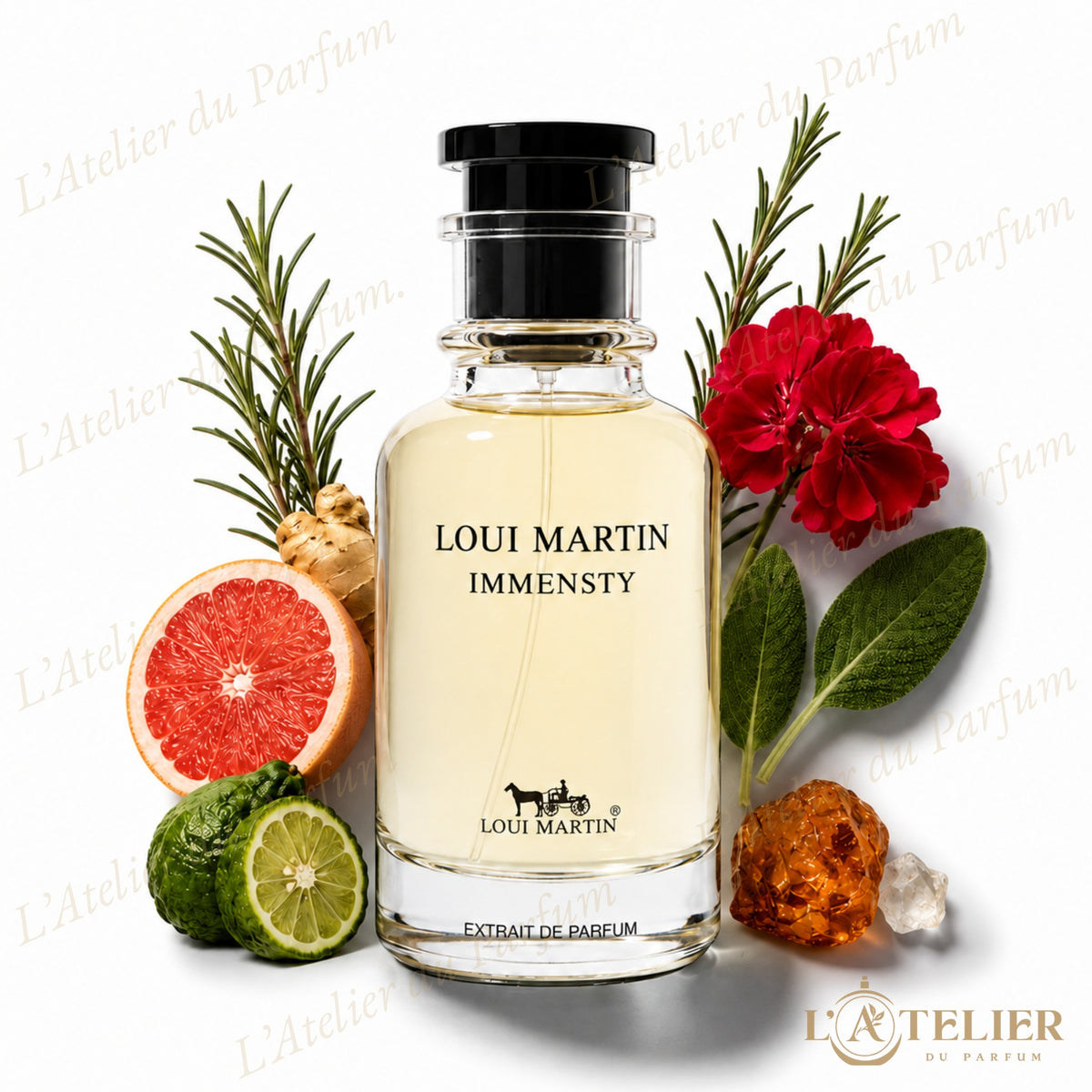 Immensty Loui Martin – Extrait de Parfum Unisexe 100ml – flacon vue de face