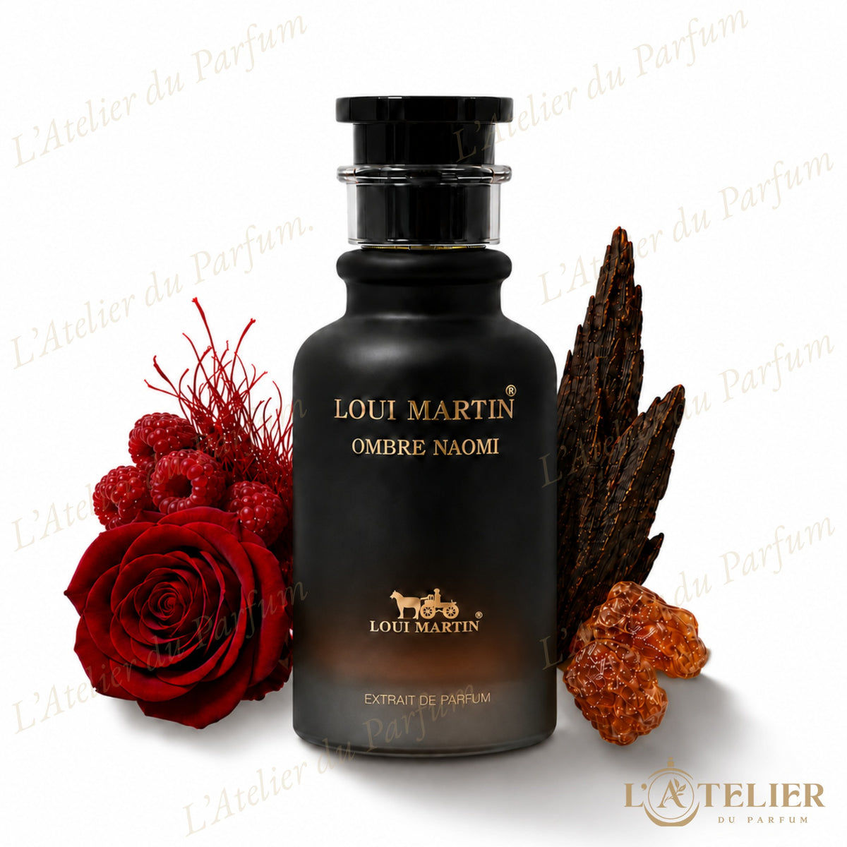 Ombre Naomi Loui Martin – Extrait de Parfum Unisexe 100ml – flacon vue de face