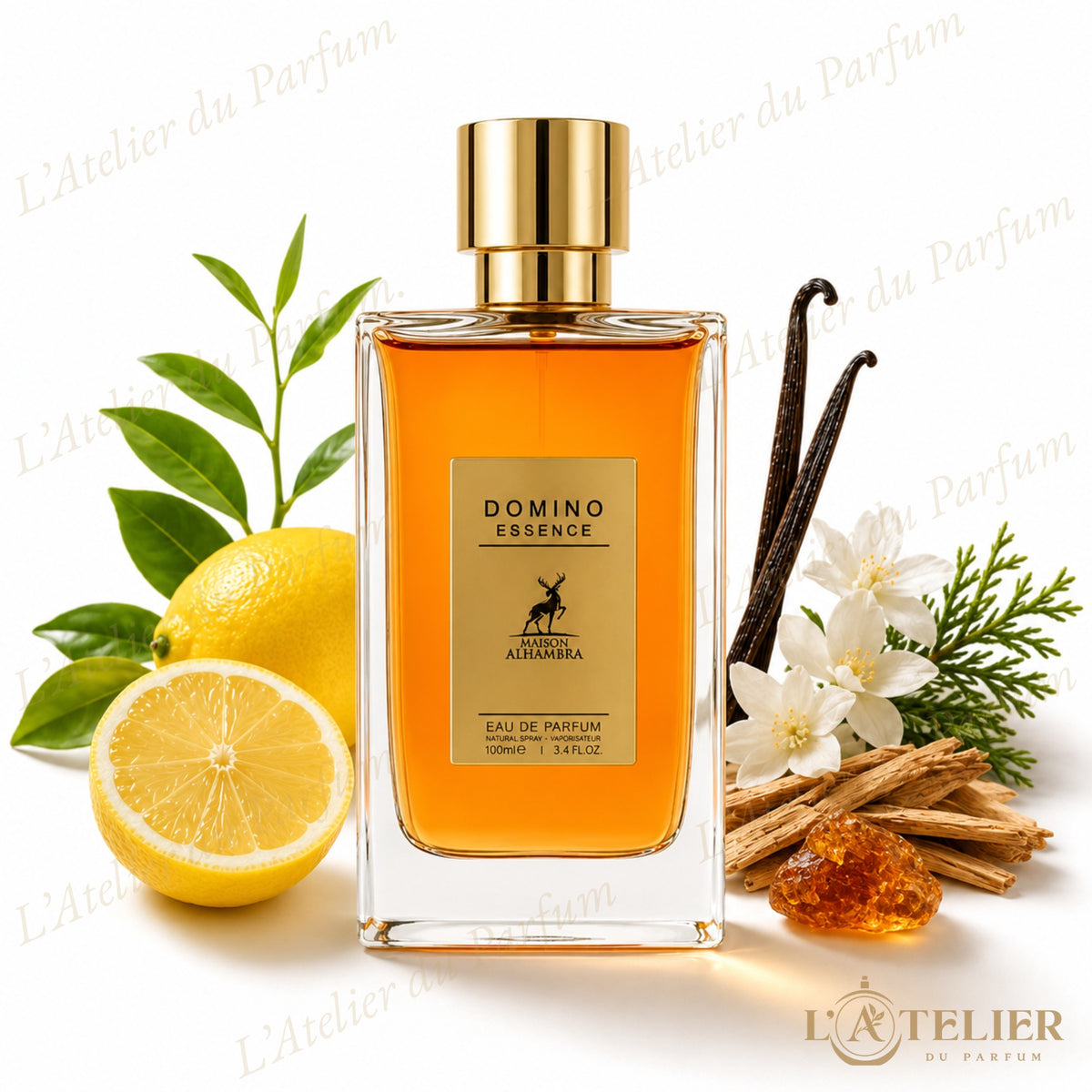 Domino Essence Maison Alhambra – Eau de Parfum Homme 100ml – flacon vue de face