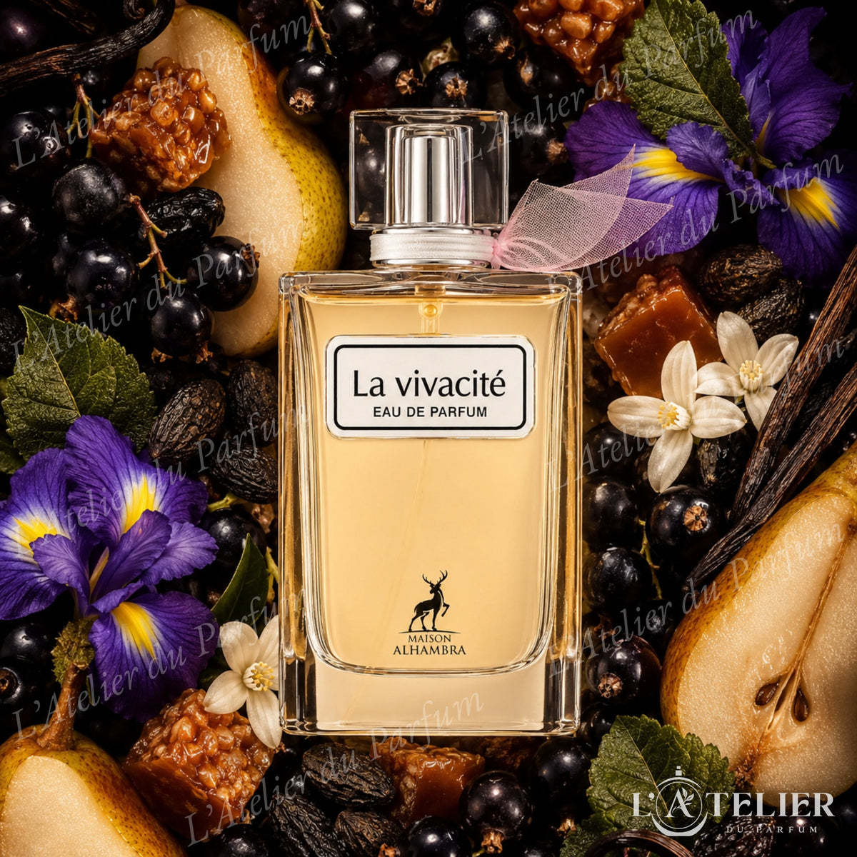 La Vivacité Maison Alhambra – EDP femme floral fruité cassis poire iris jasmin fleur d'oranger patchouli tonka praliné vanille – 100ml 35€