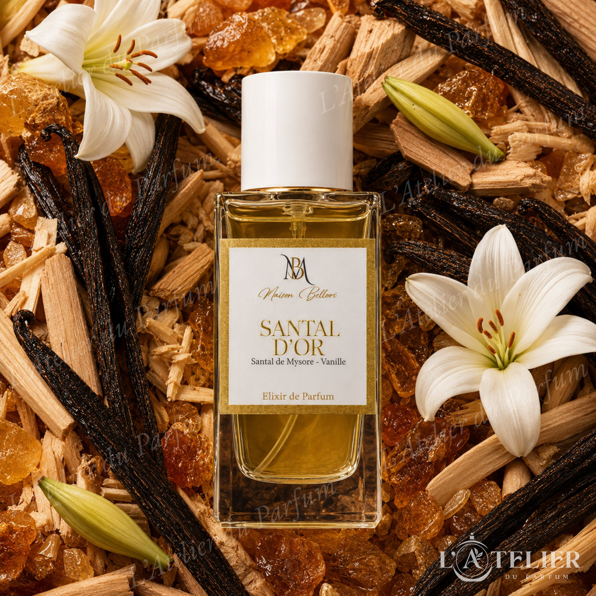 Santal d'Or Maison Bellori – élixir boisé vanillé amyris lys vanille benjoin santal – 50ml 40€