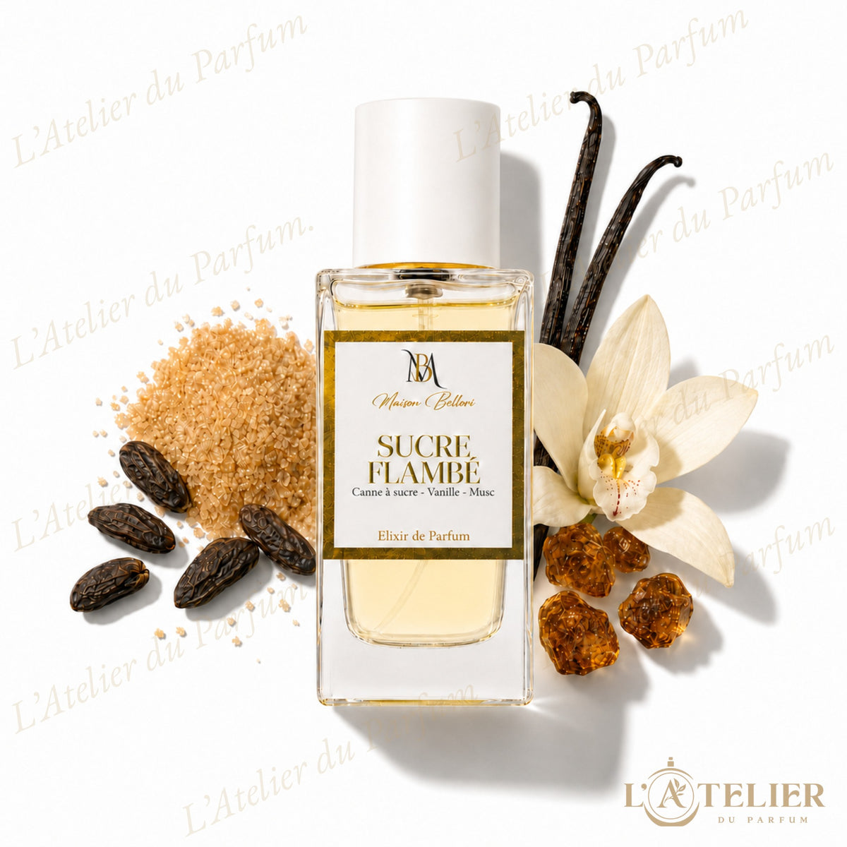 Sucre Flambé Maison Bellori – Élixir de Parfum Unisexe 35% 50ml – flacon vue de face