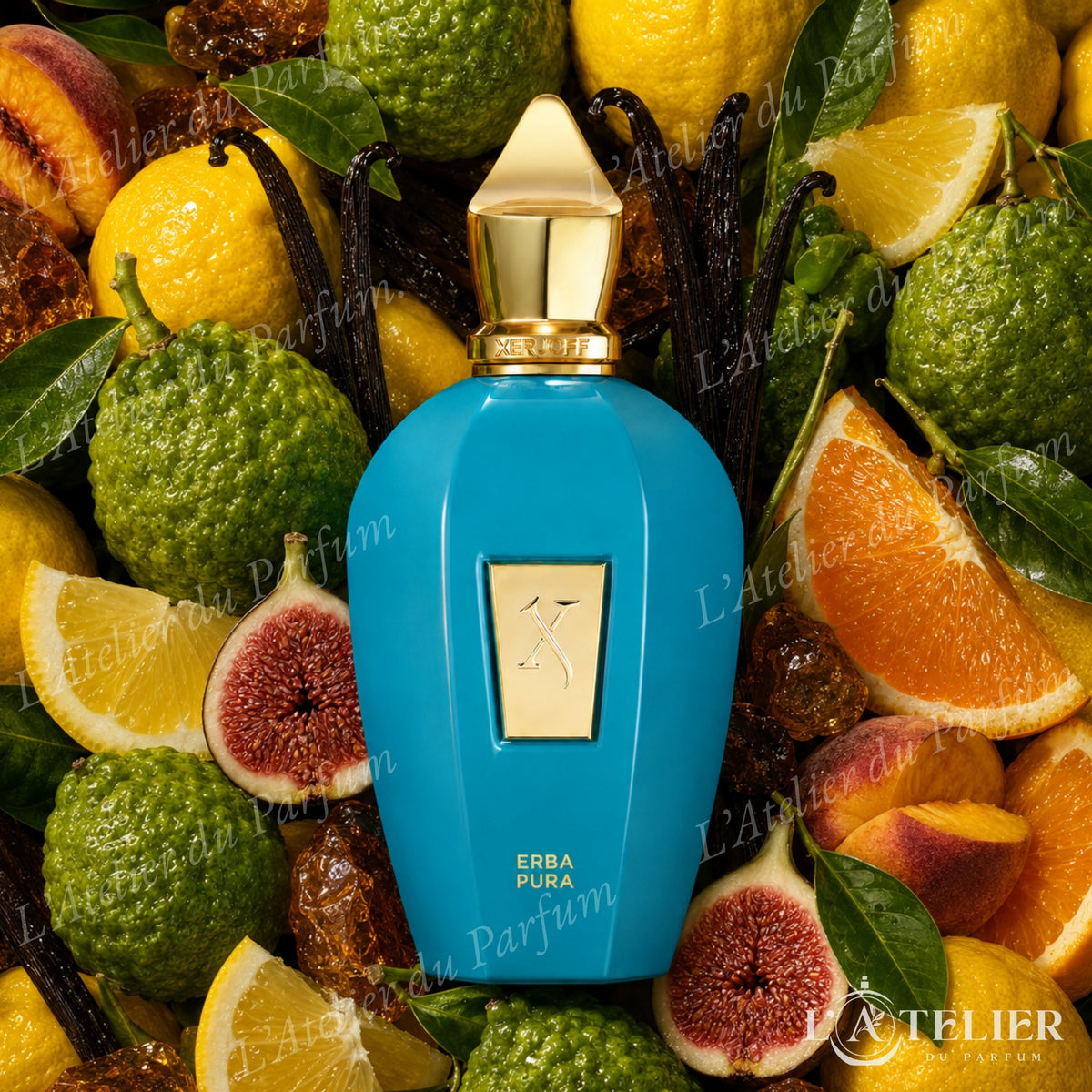 Erba Pura Xerjoff – EDP mixte agrumes ambré citron Sicile bergamote orange fruits méditerranéens ambre vanille musc blanc – 100ml 180€